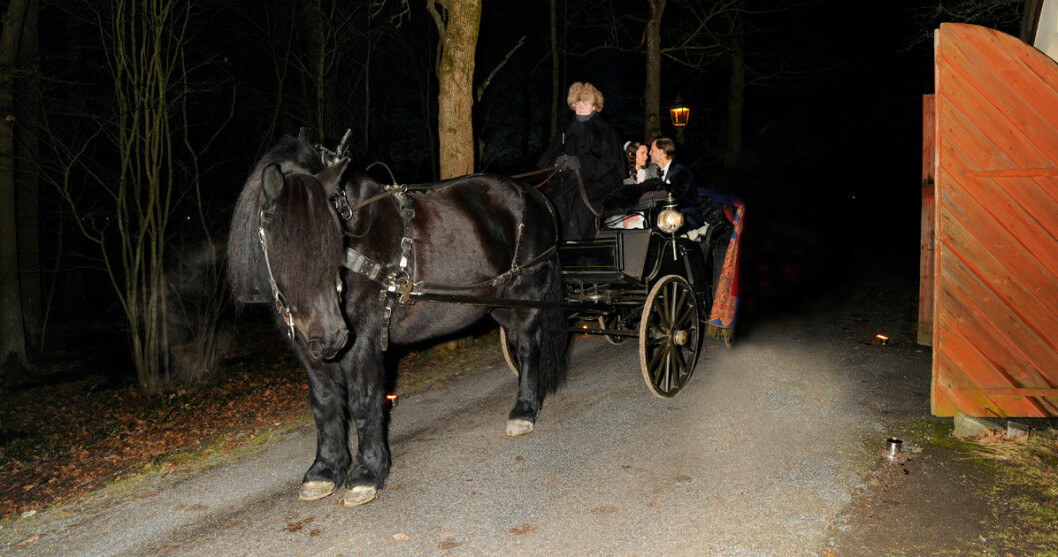 Det lyckliga brudparet for med hästdragen skrinda till bröllopsmiddag på Högloftet, Skansen. Det lyckliga brudparet