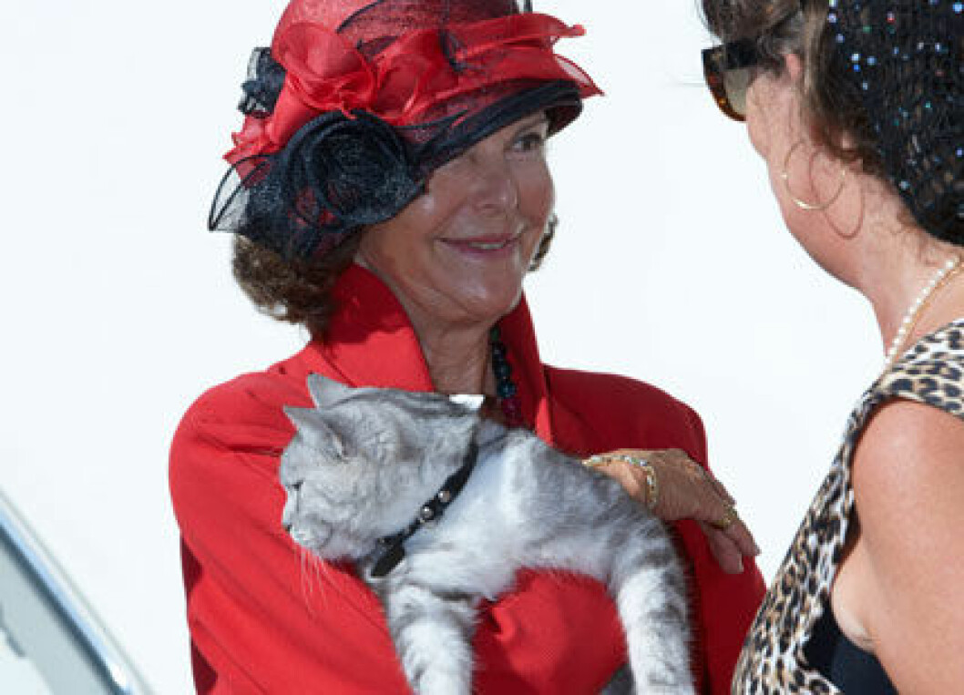 silvia-katt-ste