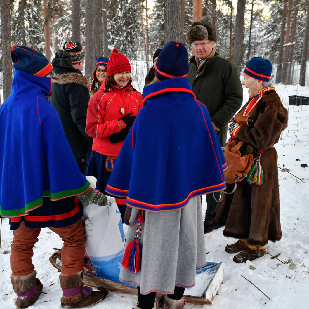 Kungaparet i ett renhägn i Jokkmokk.