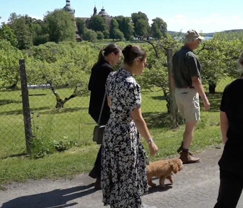 En vanlig dag på det kungliga hundjobbet: Rio tar täten på väg mot Hjorthagen. Kronprinsessan Victoria besök Gripsholm Hund Rio Cavapoo