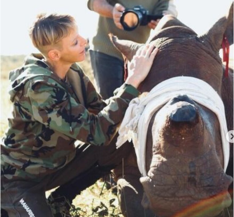 Charlene med noshörningen som miste sitt horn. Furstinnan Charlene Noshörning Sydafrika