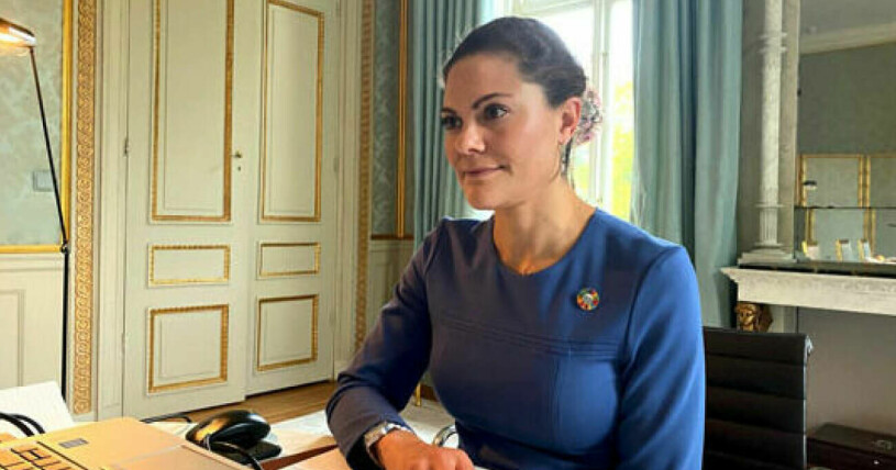 Kronprinsessan Victoria under måndagens möte, en bild som inte dök upp på Instagram... Kronprinsessan Victoria i digitalt möte