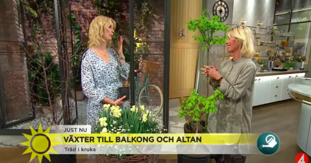 Så här har det sett ut när Victoria Skoglund gästat TV4 Nyhetsmorgon. Jenny Strömstedt och Jenny Strömstedt och Victoria Skoglund