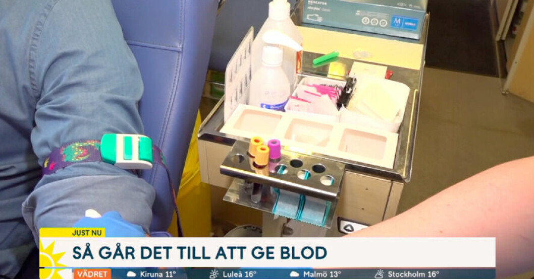 Efter inslaget hyllas programledaren på sociala medier. Martin Järborg tappas på blod i Nyhetsmorgon