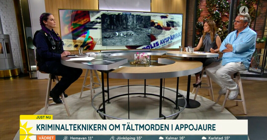 Så här såg det ut när det nya segmentet i Nyhetsmorgon presenterades. Kelda Stagg, Maria Forsblom och Steffo Törnquist