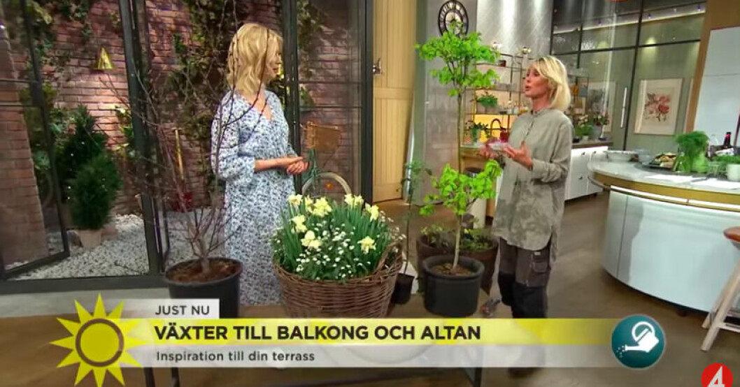 Så här kan det se ut när Jenny Strömstedt och Victoria Skoglund syns i Nyhetsmorgon tillsammans! Jenny Strömstedt och Victoria Skoglund i Nyhetsmorgon