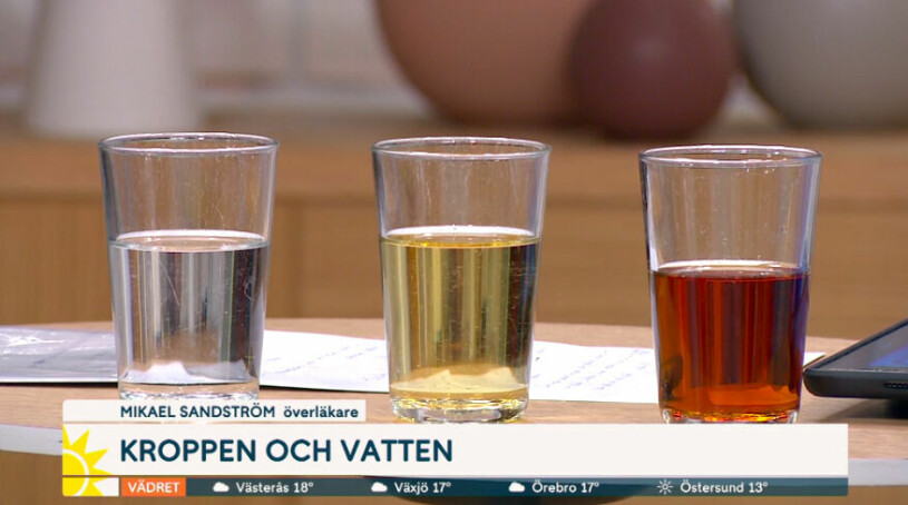 Ens urin ska helst se ut som mitten glaset, säger doktor Mikael. Nyhetsmorgon