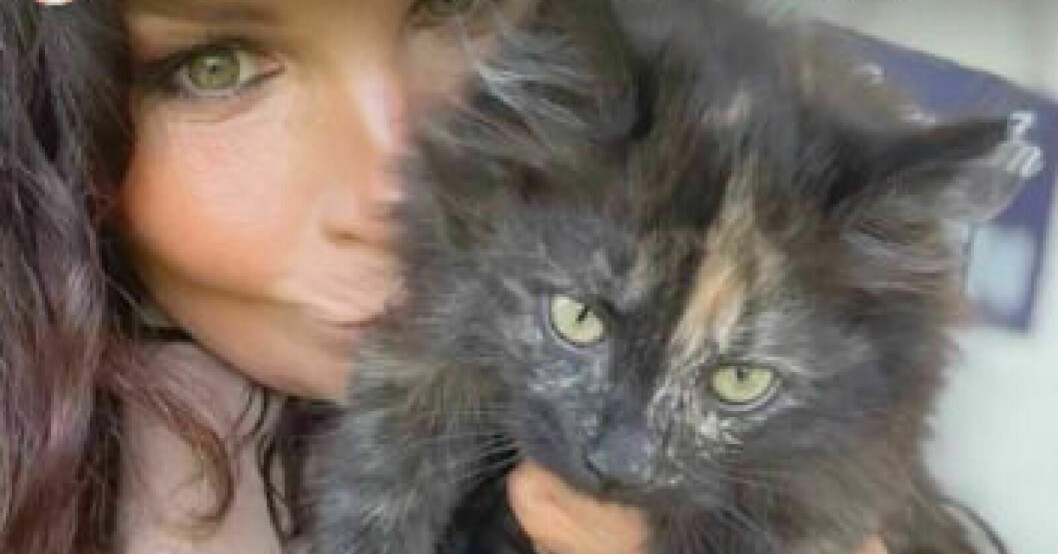 Med den här bilden efterlyste Carola katten Gucci, utan framgång. Carola Häggkvist med katten Gucci