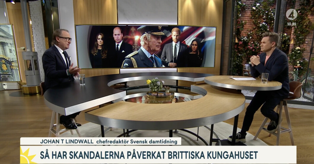 Johan T Lindwall förklarar situationen mellan bröderna Harry och William.