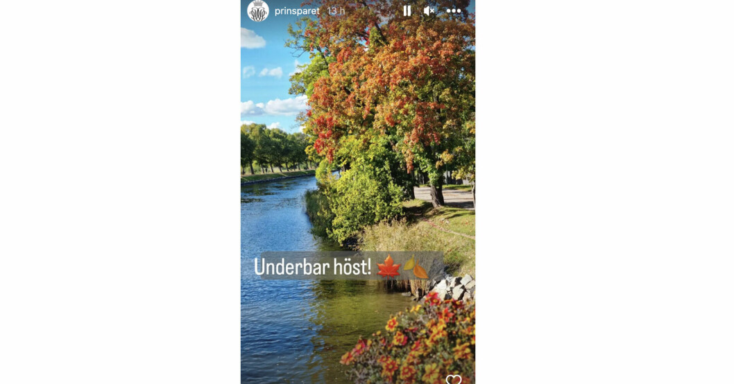 En hösthälsning från prinsparet – det är inte varje dag! Foto: Instagram/prinsparet Prinsparets Instagram