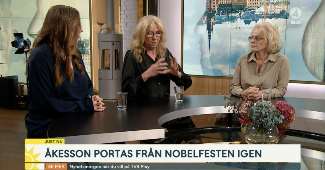 Morgonens Perspektivpanel.