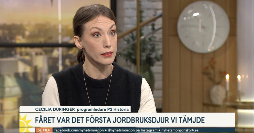 Cecilia Duringer gästade Nyhetsmorgon