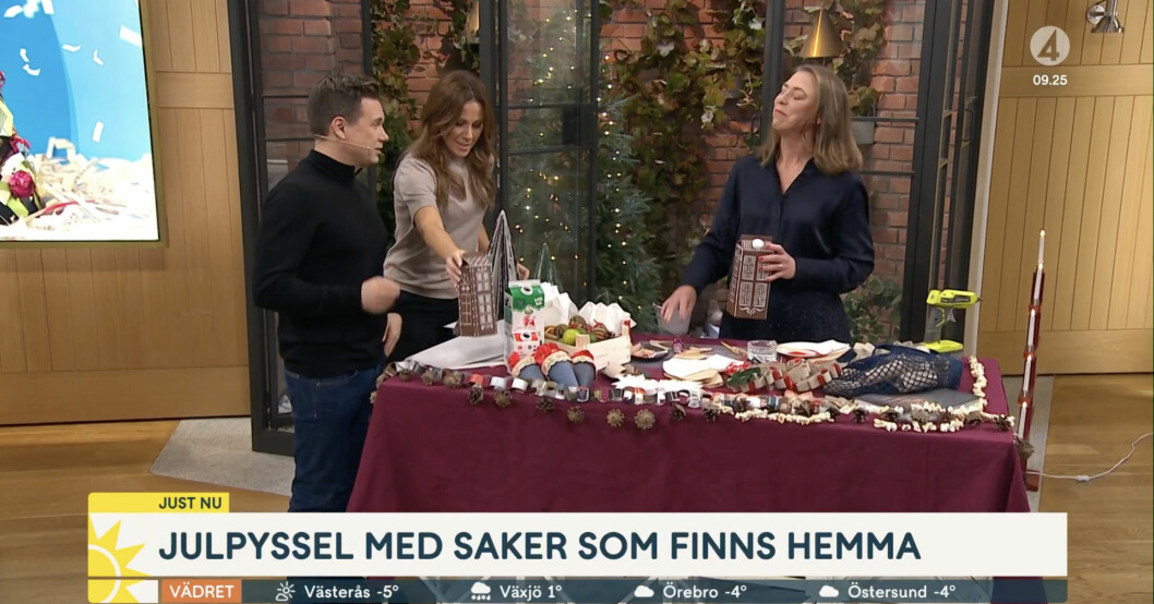 Anders Pihlblad, Sofia Geite i Nyhetsmorgon
