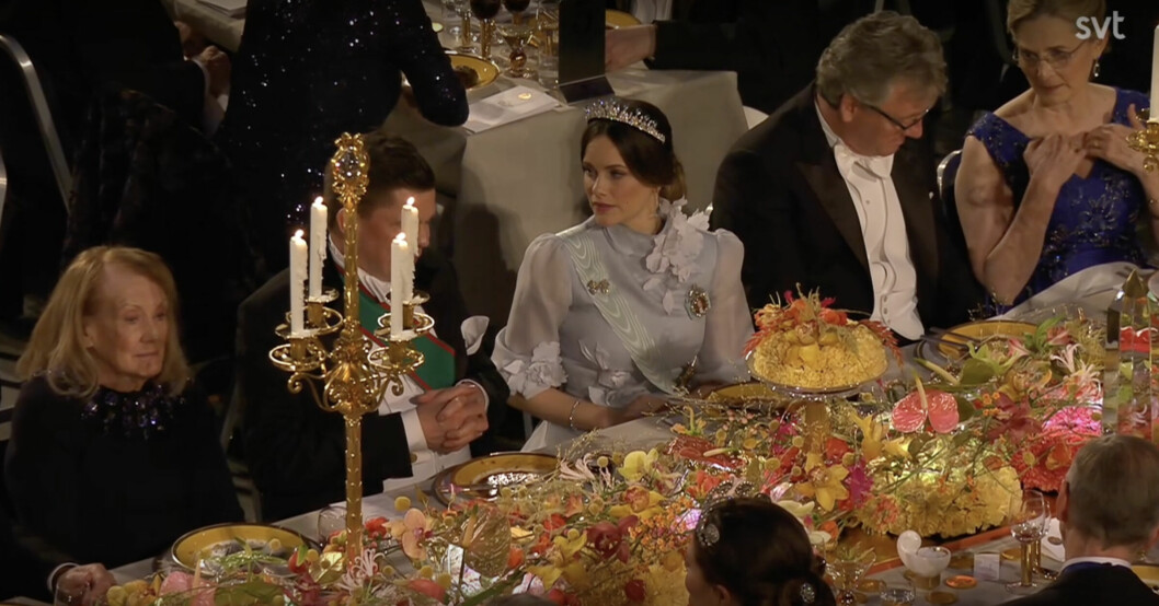 Prinsessan Sofia och talman Andreas Norlén såg ut att ha en djup diskussion.