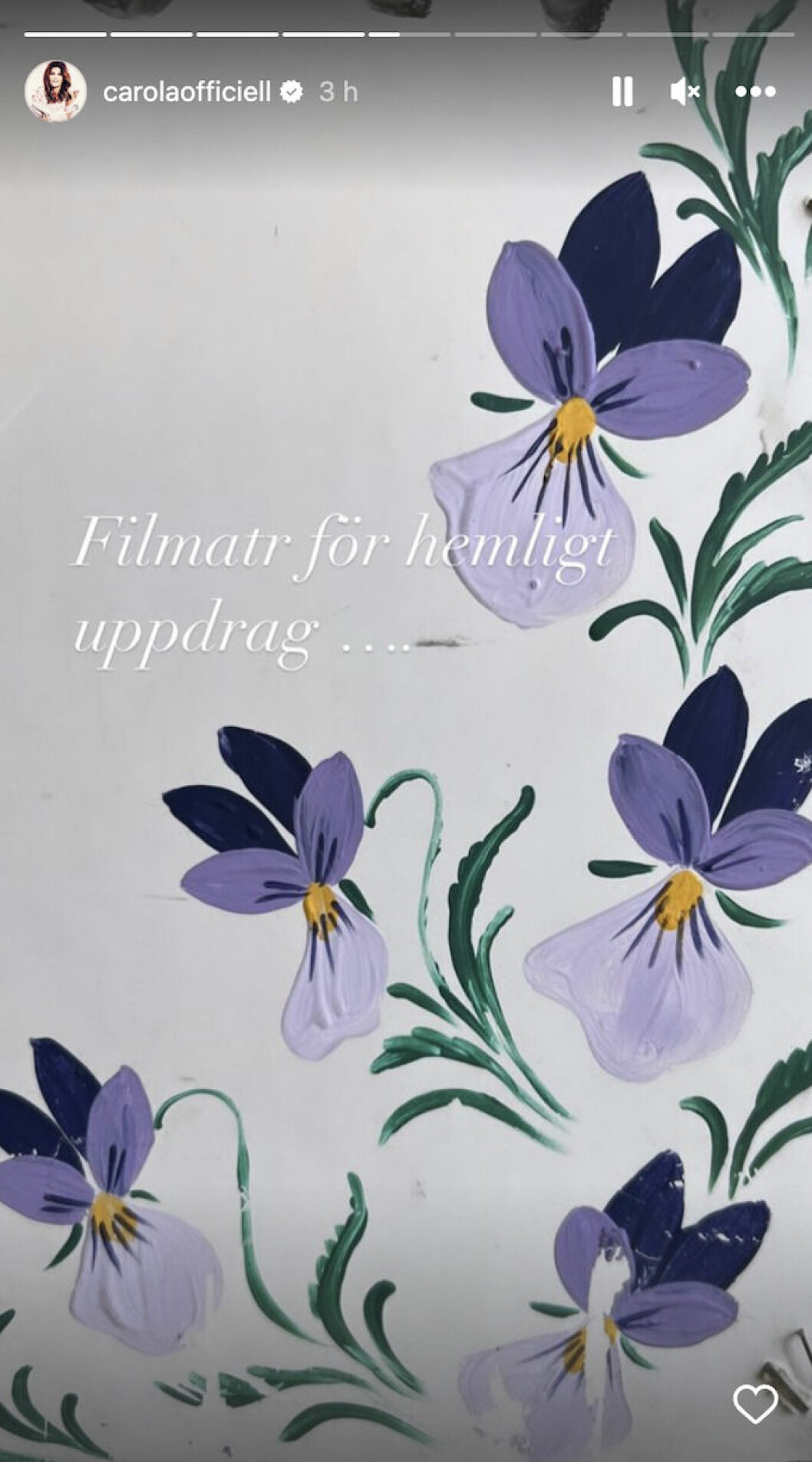 Carola Häggkvists bild på Instagram med texten "Filmat för hemligt uppdrag"