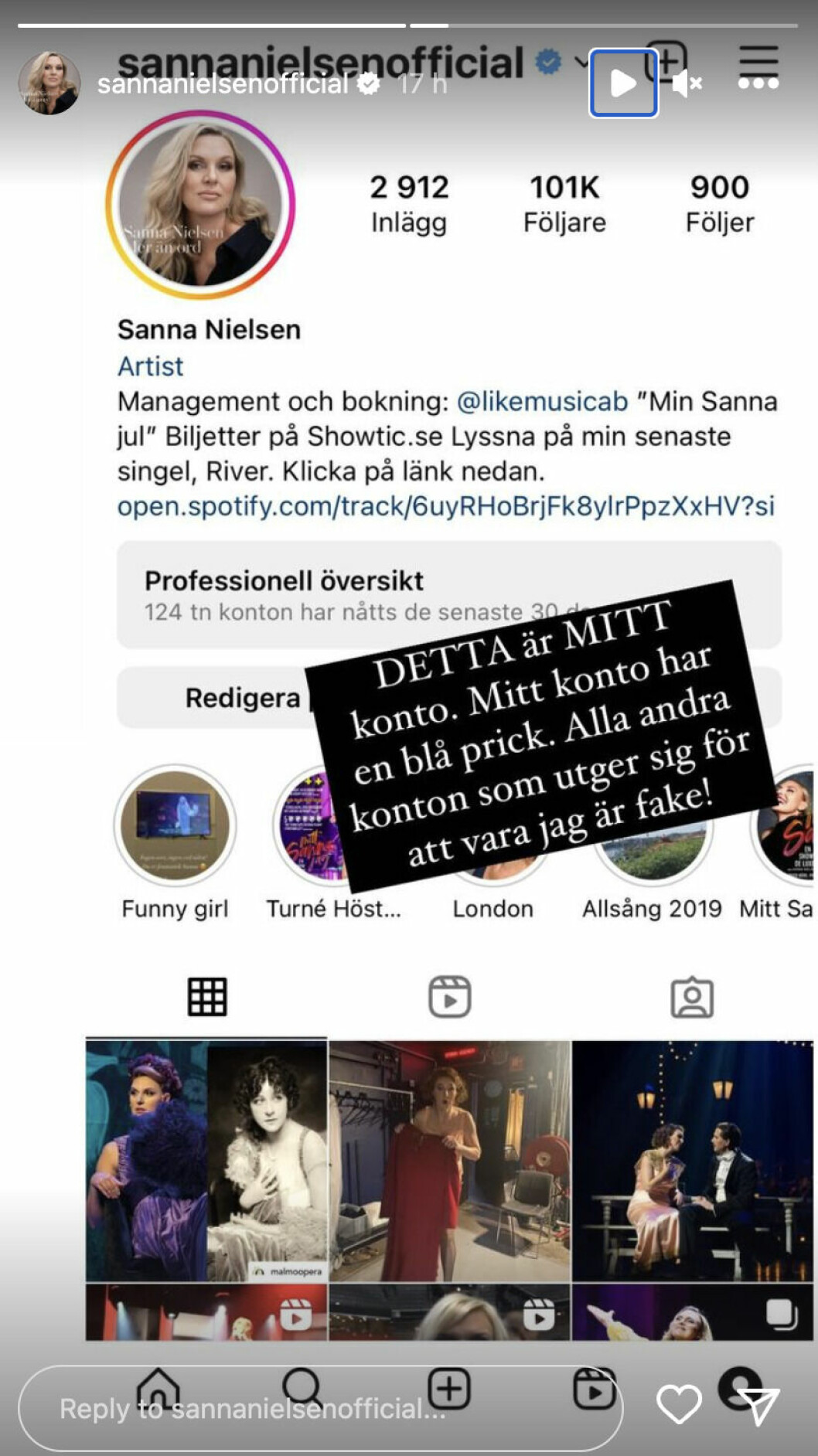 En skärmdump från Sanna Nielsens Instagram där hon berättar att det skapas fejkkonton i hennes namn