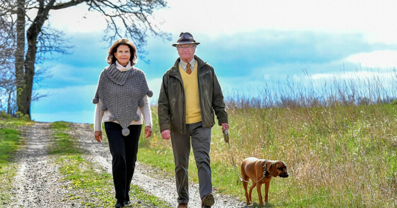 Vårt kungapar promenerar gärna med Brandie ute på Drottningholm.