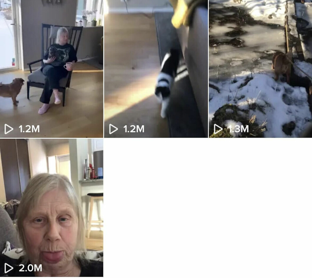 Varje klipp Irma lägger upp gör succé. En skärmdump från Irma Lehtosalos Tiktok som visar tumnageln av fyra klipp, där alla har över en miljon visningar