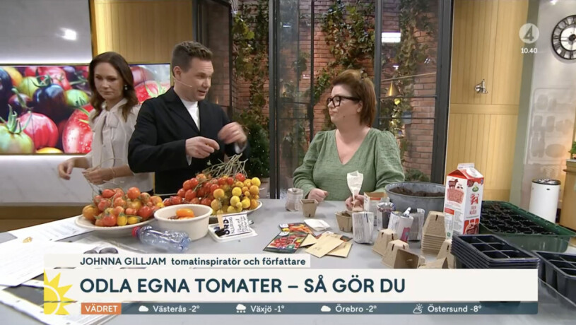 Här smiter Maria tillbaka in efter incidenten. Maria Forsblom och Anders Pihlblad i Nyhetsmorgon