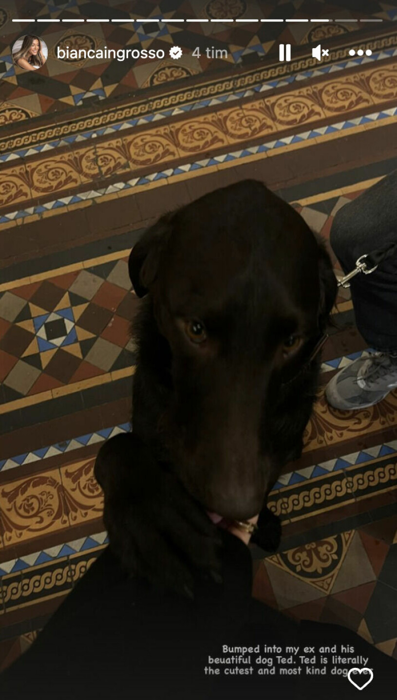 Bianca träffade på exet Phillipe och hunden Ted.