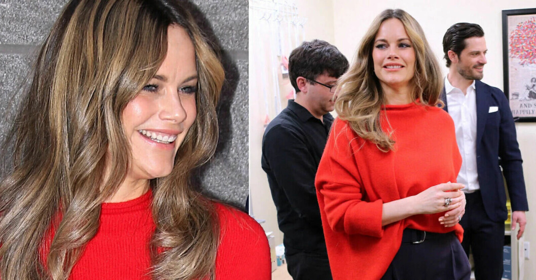 Prinsessan Sofia i New York