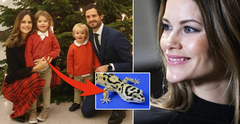 Sofia och Carl Philip med två av sina tre småprinsar. På Villa Solbacken bor numera också en ödla vid namn Blixten. Prinsessan Sofia och prins Carl Philip med prins Alexander och prins Gabriel