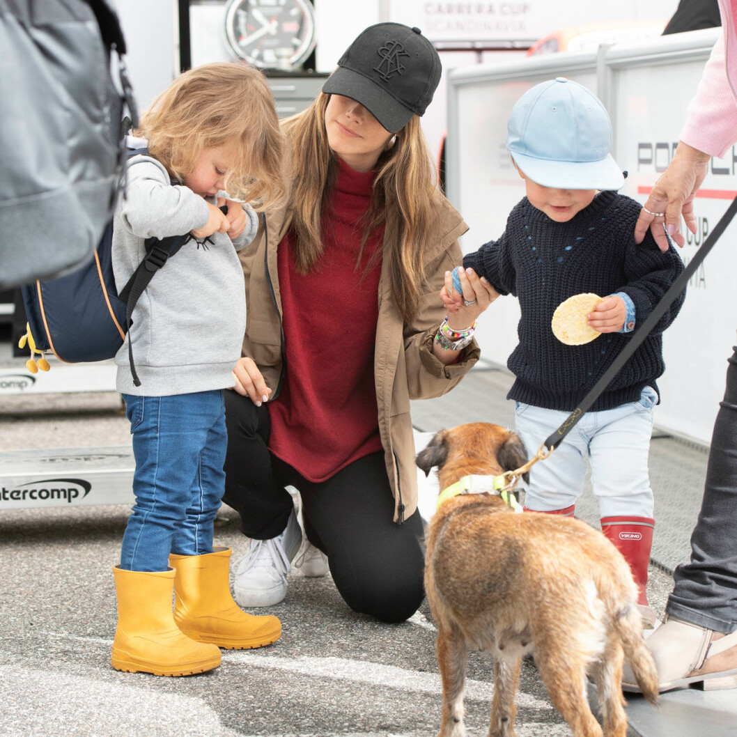 Riskakor, hundar och barn. En bild av prinsessan Sofias vardag just nu! Prinsessan Sofia med prins Alexander och prins Gabriel och hunden Siri.