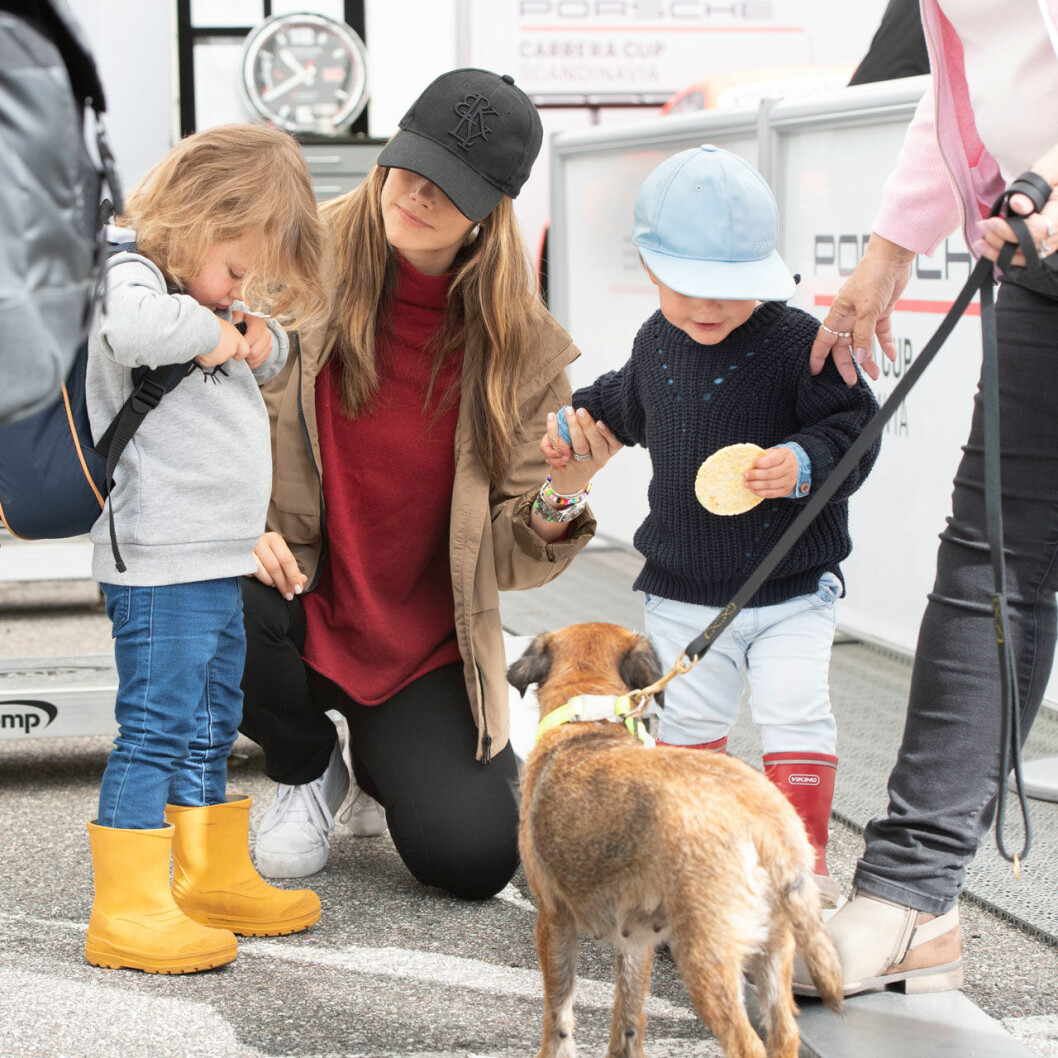 Prinsessan Sofia med sina barn prins Alexander och prins Gabriel och sin hund, border terriern Siri.