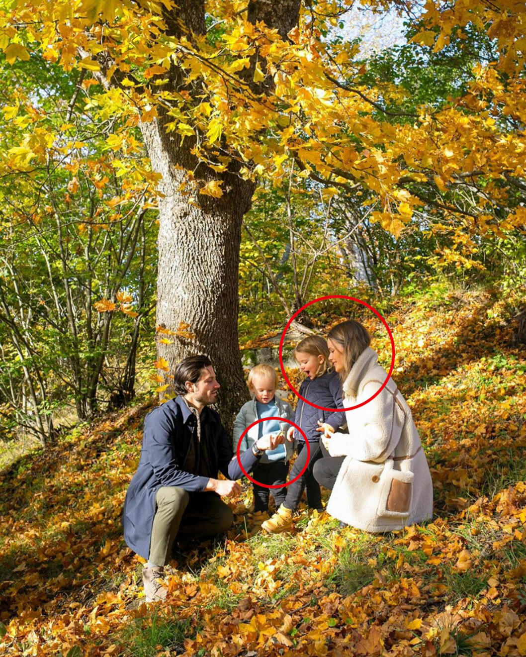 Prins Carl Philip och prinsessan Sofia delade med sig av denna bild när nyheten om titlarna kom. Prins Carl Philip och prinsessan Sofia delade med sig av denna bild när nyheten om titlarna kom.