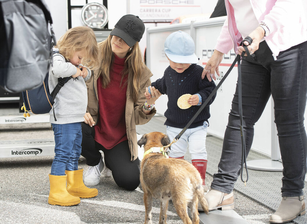 Alexander, Gabriel, Sofia och lilla hunden Siri. Alexander, Gabriel, Sofia och lilla hunden Siri.