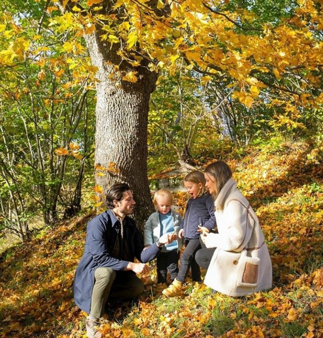 Sofia, Carl Philip, Alexander och Gabriel