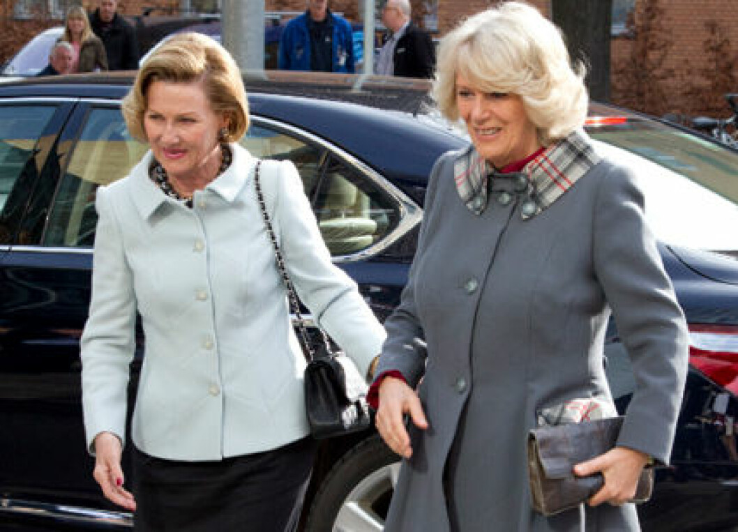 Sonja-camilla-ibl