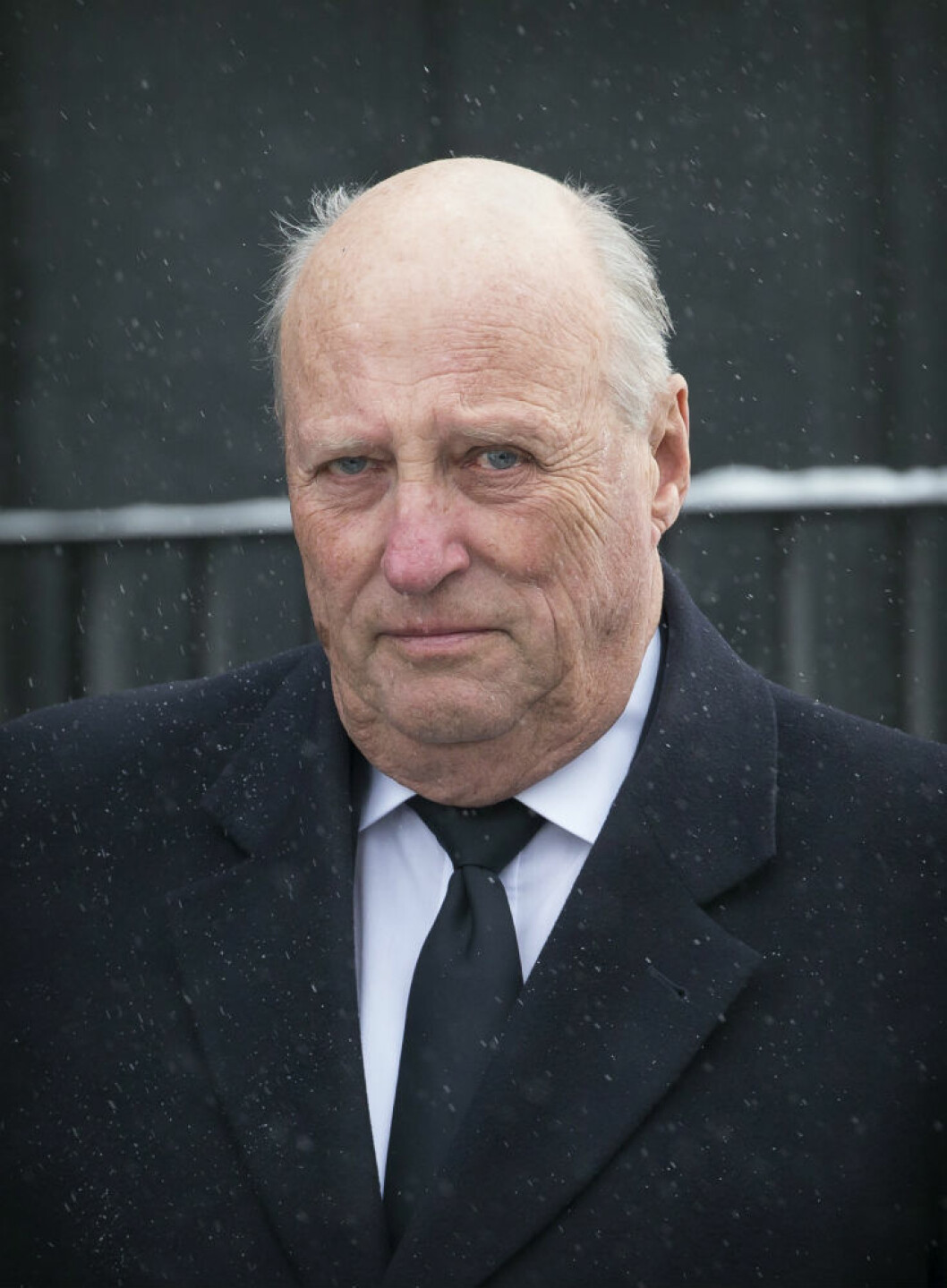 Ste-Harald