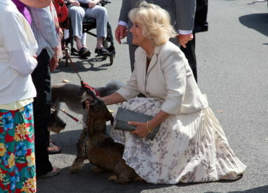 Charles And Camilla Visit Llantwit Major