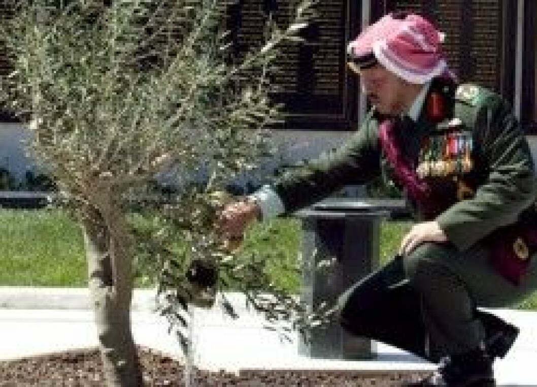 Jordaniens kung Abdullah. Jordaniens kung Abdullah.