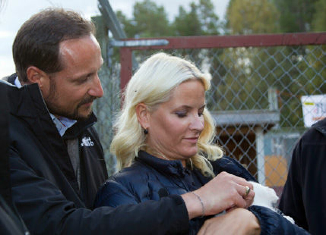 Surftrip Mit Skandal Sohn: Haakons Luxusurlaub – Mette Marits Entscheidung Schockiert! - ztba5pa