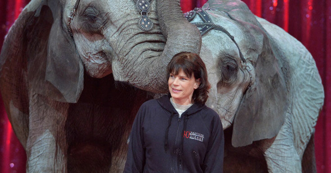 Prinsessan Stephanie: Djur hör hemma på cirkus