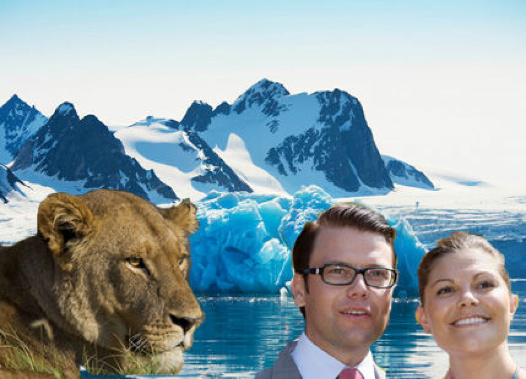 Safari eller Svalbard för Victoria och Daniel?