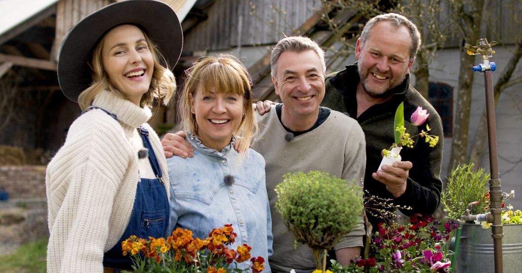 Malin Persson, Pernilla Månsson Colt, Tareq Taylor och John Taylor är dagens kvartett i SVT:s <span class=" italic" data-lab-italic_desktop="italic">Trädgårdstider.</span>