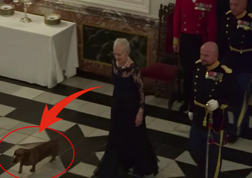 Bildbeviset: Härliga Margrethe tog med taxen. Drottning Margrethe taxen Tilia galamiddag Fredensborg