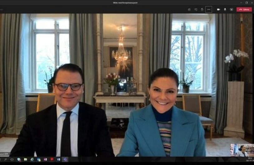 Veckans roligaste videosamtal? Det ser i alla fall så ut!