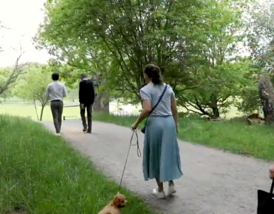 Victoria och hennes valp. Kronprinsessan Victoria och valpen Rio.