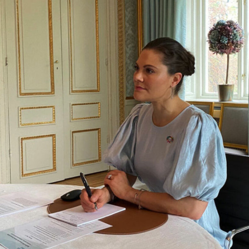 Kronprinsessan Victoria vid mötet på Haga i dag. Kronprinsessan Victoria Haga slott Möte med SeaBOS