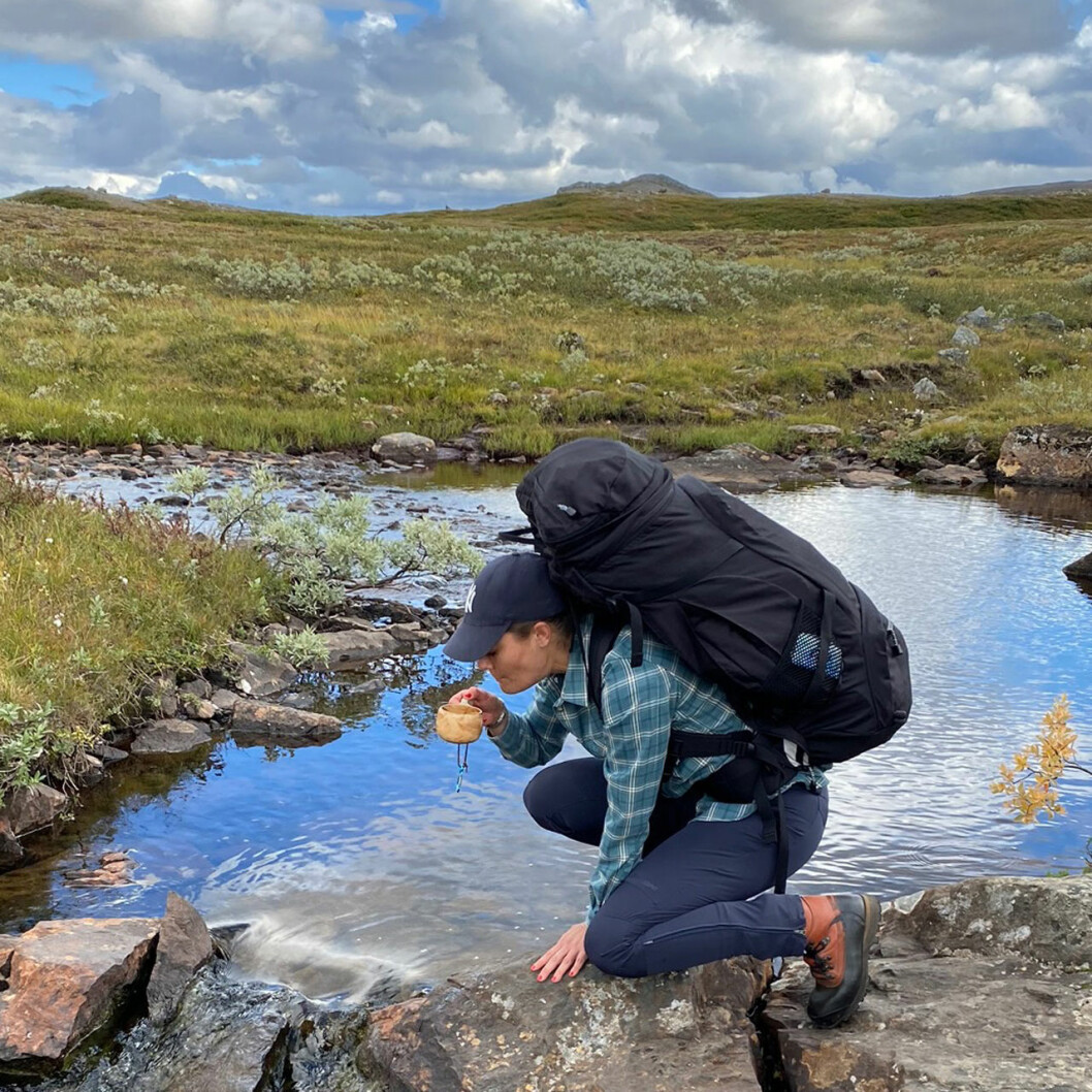 Victoria släcker törsten i fjällbäcken. Kronprinsessan Victorias vandring i Jämtland