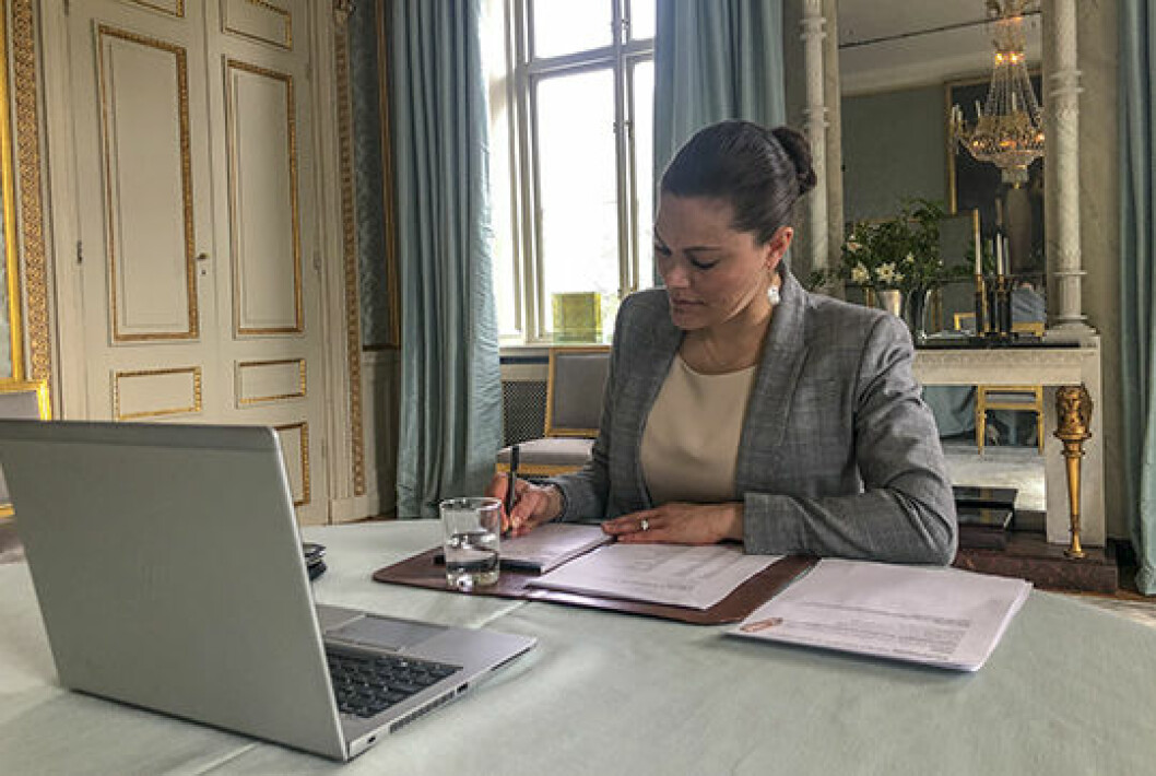 Victoria under webbinariet ”Lagring av koldioxid för att minska utsläppen” anordnat av Studieförbundet Näringsliv och Samhälle (SNS). Victoria på Haga slott