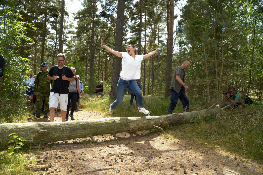 Vilken spänst! Victoria kommer högt när hon hoppar över stocken. Vilken spänst! Victoria kommer högt när hon hoppar över stocken.