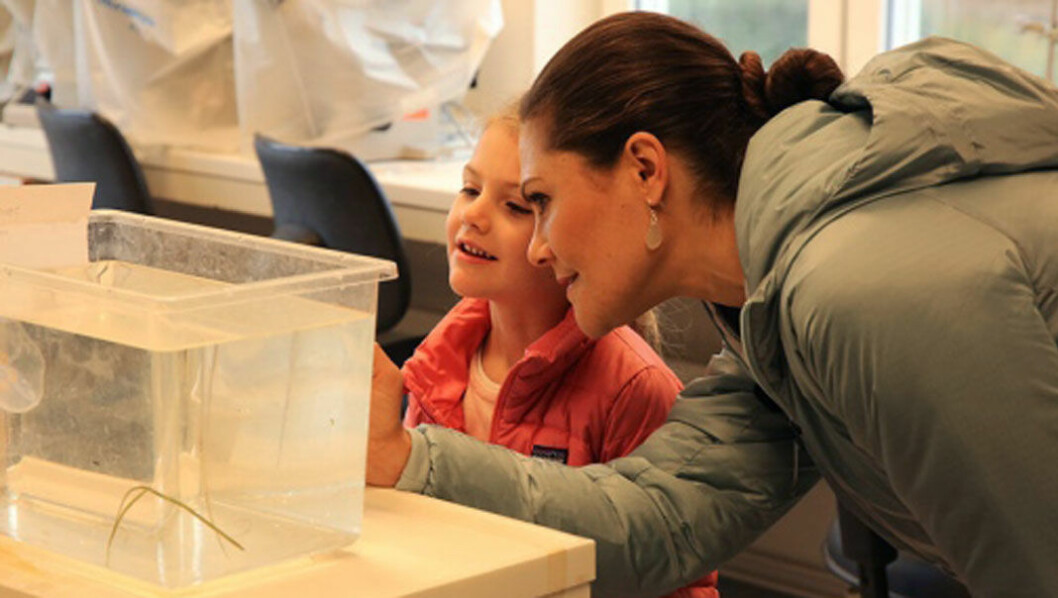 Victoria och Estelle besökte Askölaboratoriet förra veckan.