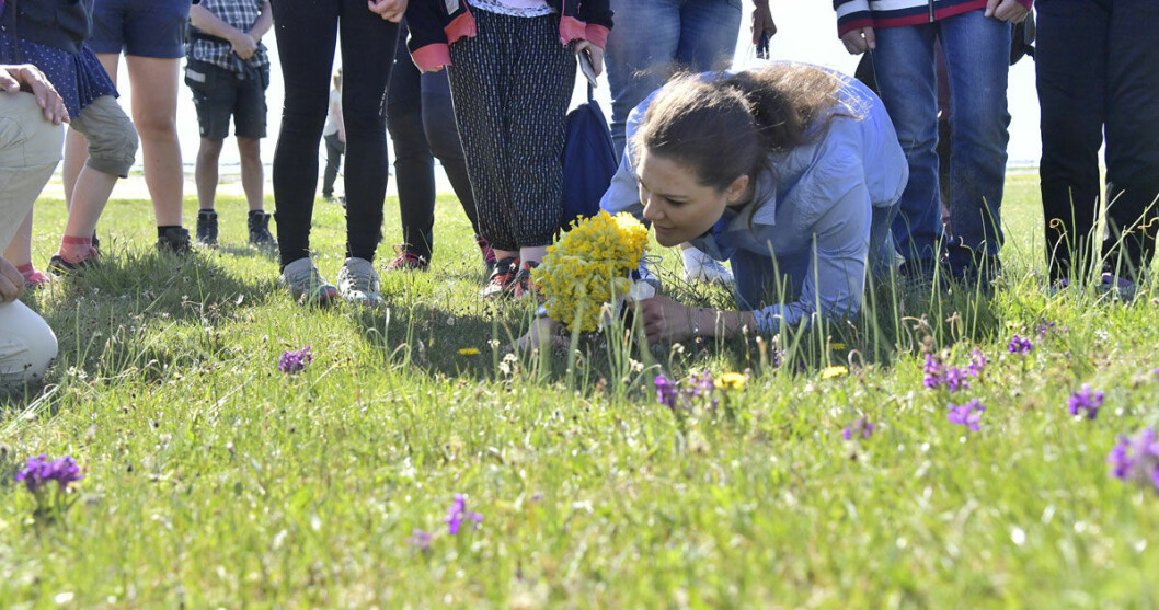Kronprinsessan Victoria är genuint intresserad av djur och natur. Det syns tydligt under vandringarna. Kronprinsessan Victoria är genuint intresserad av djur och natur. Det syns tydligt under vandringarna.