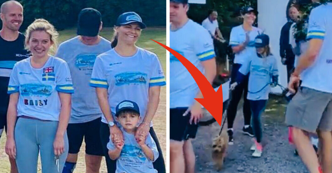 Victoria, Daniel, prins Oscar och prinsessan Estelle fick en fin eftermiddag i Hagaparken. Kronprinsessan Victoria prinsessan Estellle hunden Rio prins Daniel Cristina Stenbeck Alexander Fitzgibbons Hagaparken