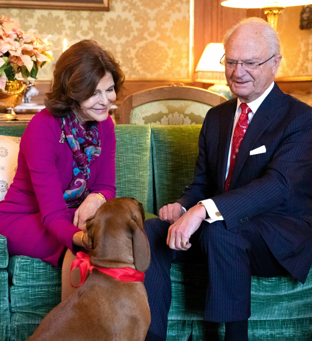 Kungaparet med sin bayerska viltspårhund Brandie. Kungaparet med sin bayerska viltspårhund Brandie.